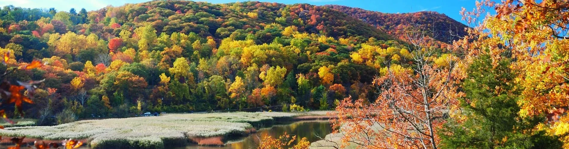 سرمایه گذاری در ساسکاچوان